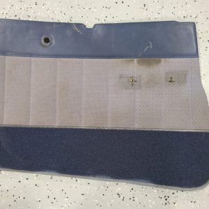 PANEL ASSY - CABIN DOOR L/H