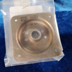 DOOR PLATE