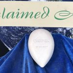 ANTENNA NON WAAS (GARMIN)